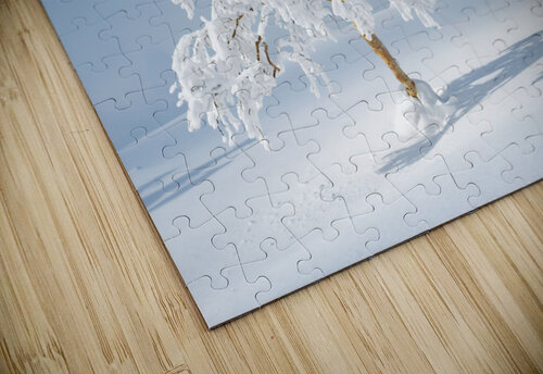 Spotlight Alex Fukuda puzzle
