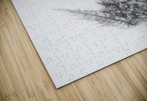 Due Alberi Alex Fukuda puzzle