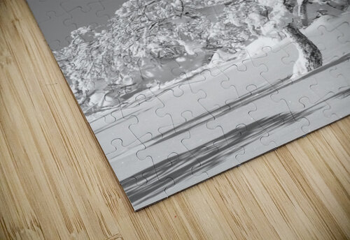 Lone Birch Alex Fukuda puzzle