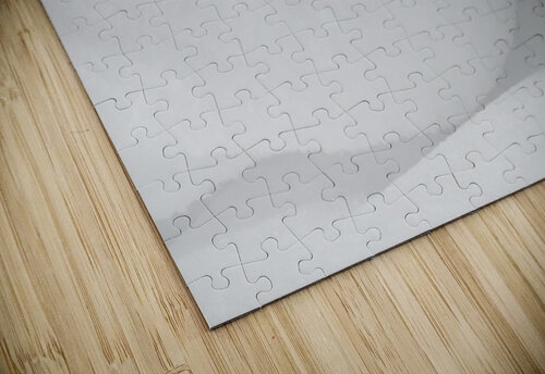 Snow Waves I Alex Fukuda puzzle