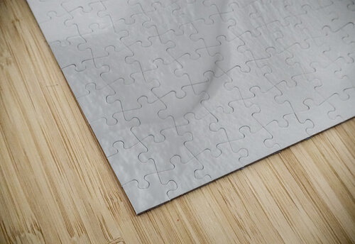 Snow Waves II Alex Fukuda puzzle