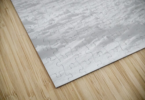 Sasa II Alex Fukuda puzzle