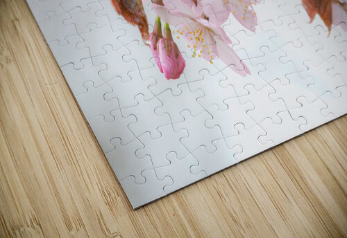 Sakura Cherry Blossom Alex Fukuda puzzle