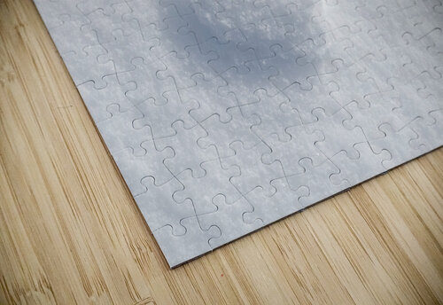 Winter . Alex Fukuda puzzle