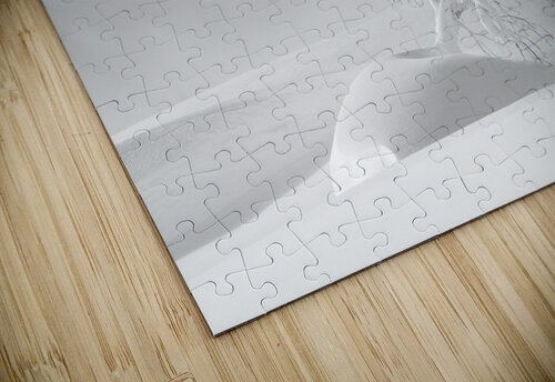 Drifter Alex Fukuda puzzle