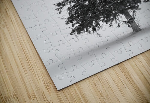 Yezo Alex Fukuda puzzle
