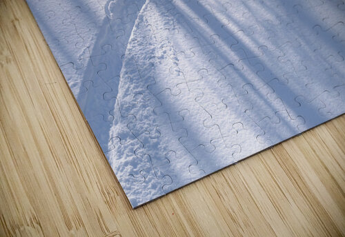 First Tracks Alex Fukuda puzzle