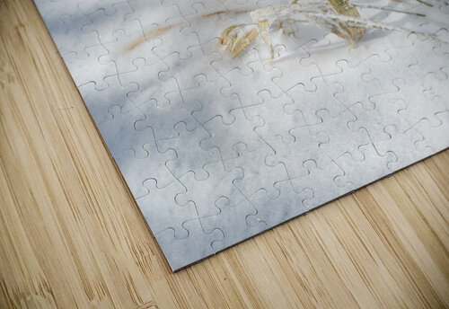 Sasa Alex Fukuda puzzle