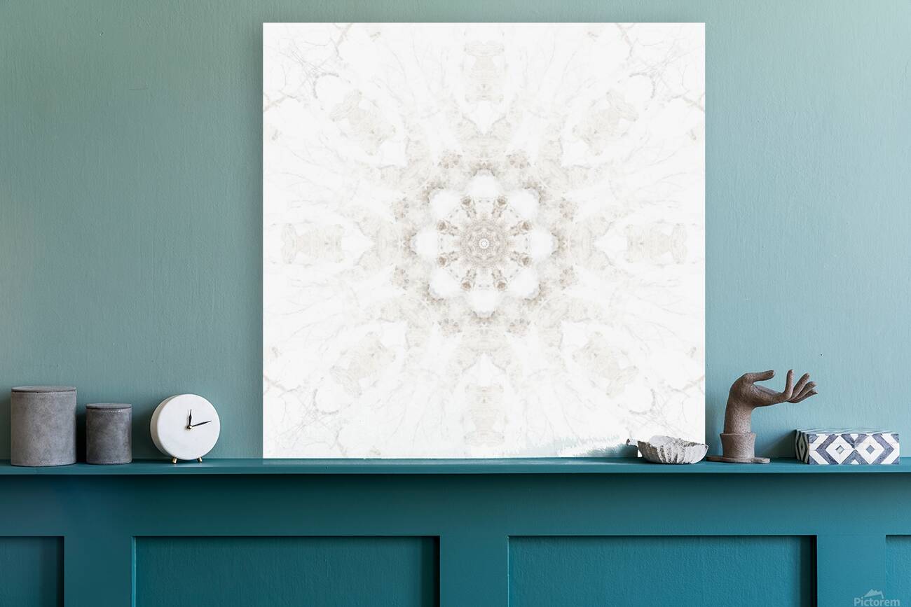 Snowflower Reproduction