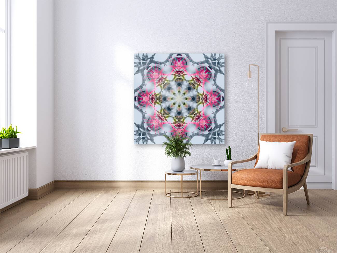 Thistleflower Reproduction