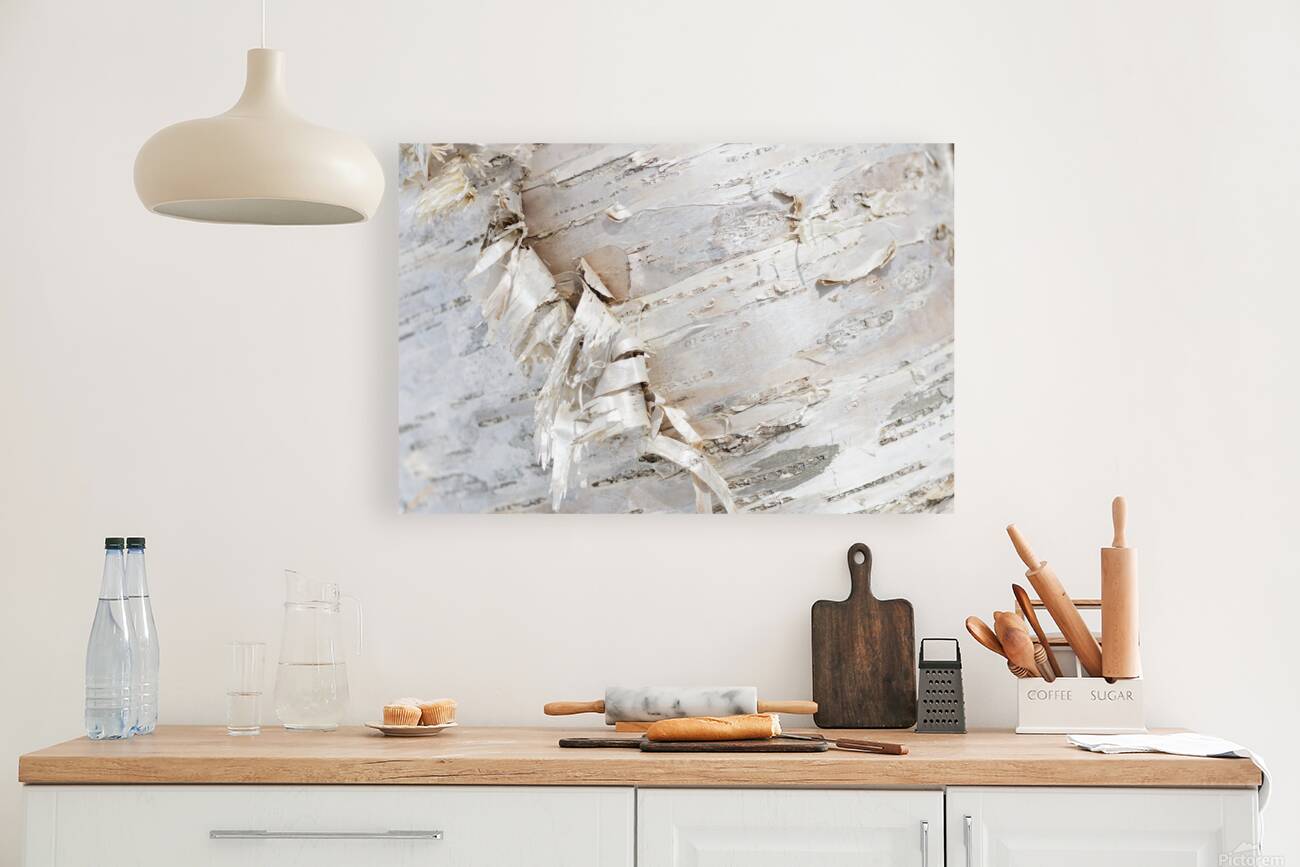 Birch Bark II Reproduction