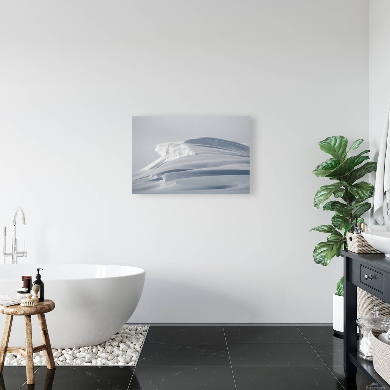 Snowdrift II Reproduction