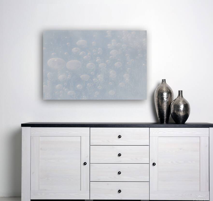 Ice Bubbles Reproduction