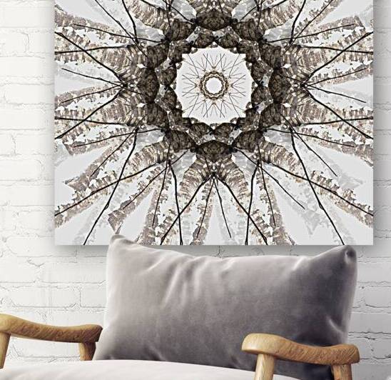 Birchflower Reproduction