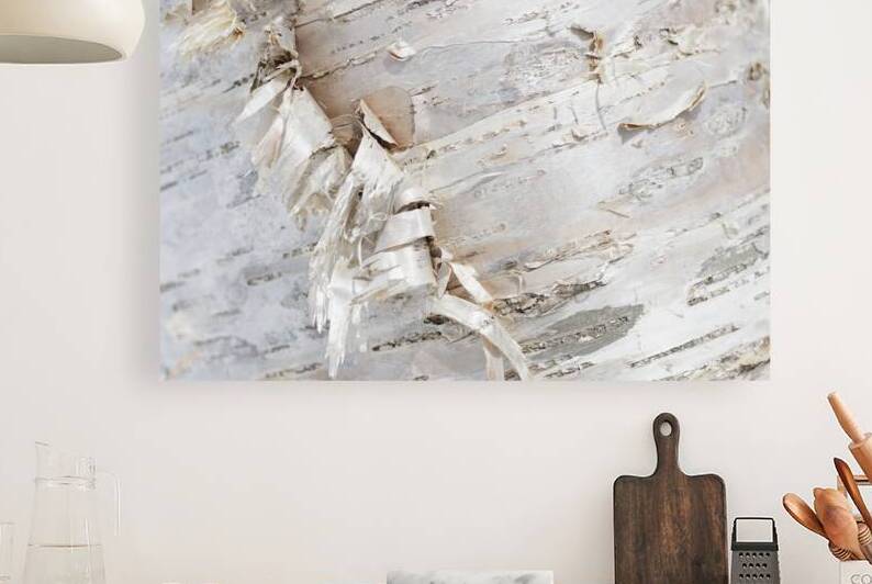 Birch Bark II by Alex Fukuda