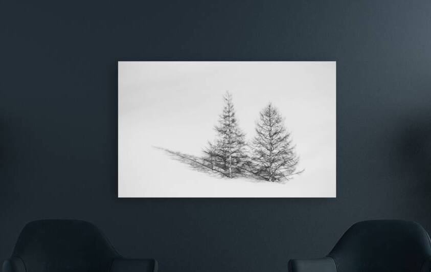 Due Alberi by Alex Fukuda