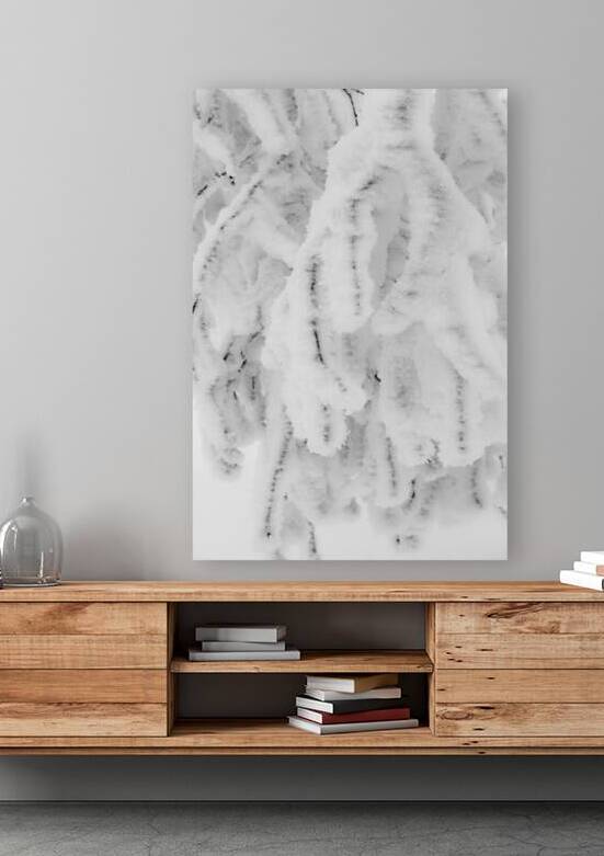 Frozen Birch by Alex Fukuda