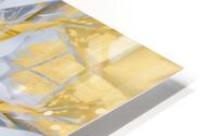Sun-bleached Bamboo Grass HD Metal print