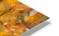Cedar and Vine HD Metal print