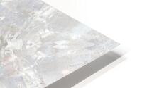 Silver Birch Bark HD Metal print