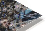 Black Bamboo HD Metal print
