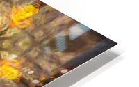 Sanctity HD Metal print