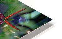Dragonfly HD Metal print