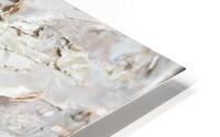 Birch Bark II HD Metal print