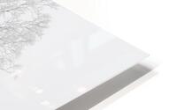 Midwinter Nayoro HD Metal print