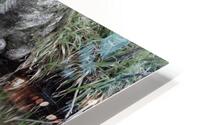 The River HD Metal print