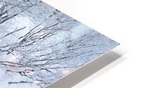 Riverbank HD Metal print