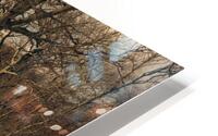 November HD Metal print