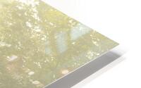 Morning Glory HD Metal print