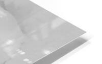 Snow Laden HD Metal print