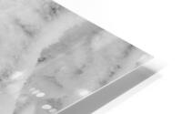 Frozen Birch HD Metal print