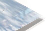 Sasa HD Metal print