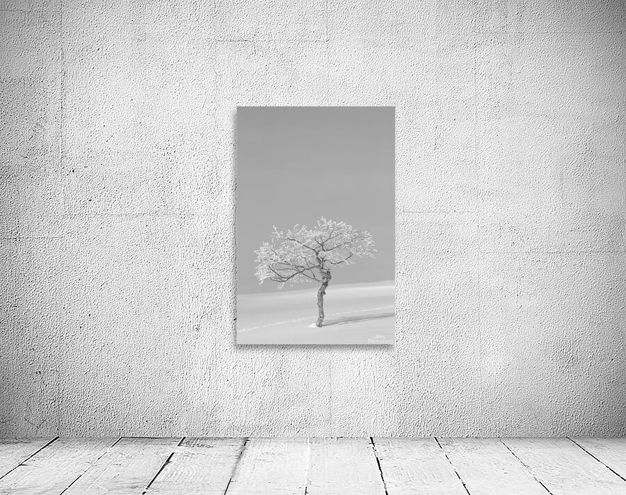 Lonesome Trail Wall Preview