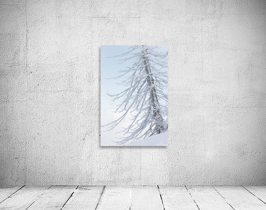 Last Christmas Wall Preview