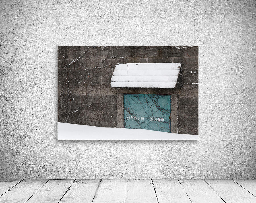Blue Door Wall Preview