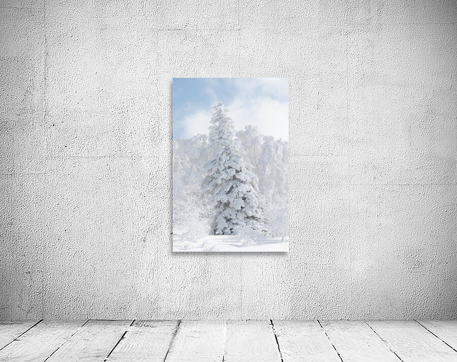Oh... Christmas Tree Wall Preview