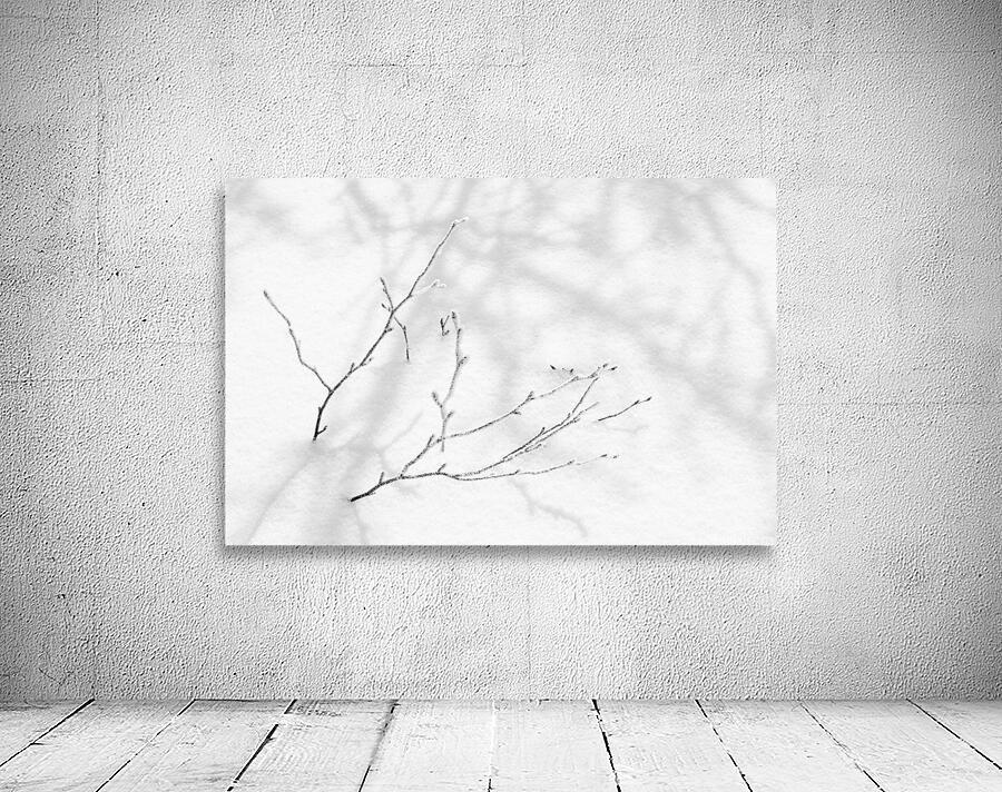 Fragility Wall Preview