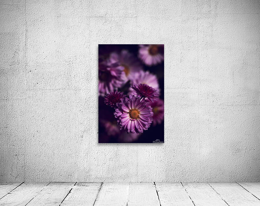Dark Pink Wall Preview