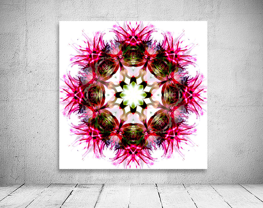 Bergamot Wall Preview