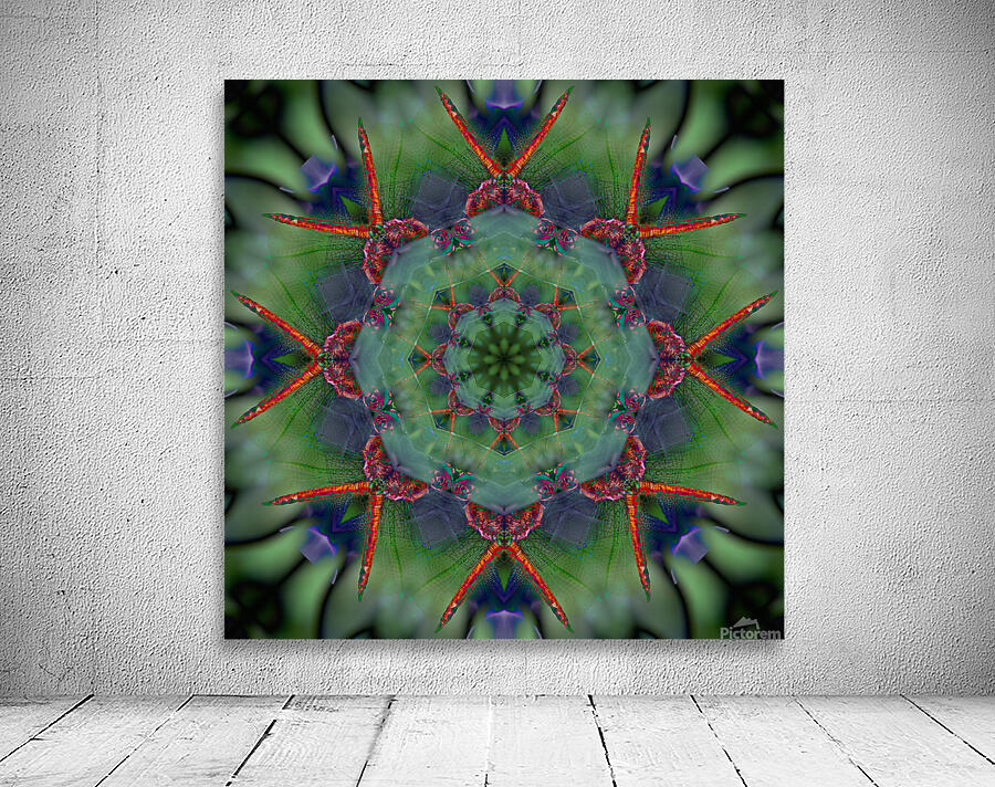Dragonfly Wall Preview
