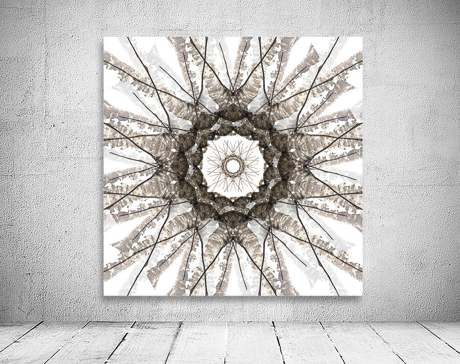 Birchflower Wall Preview