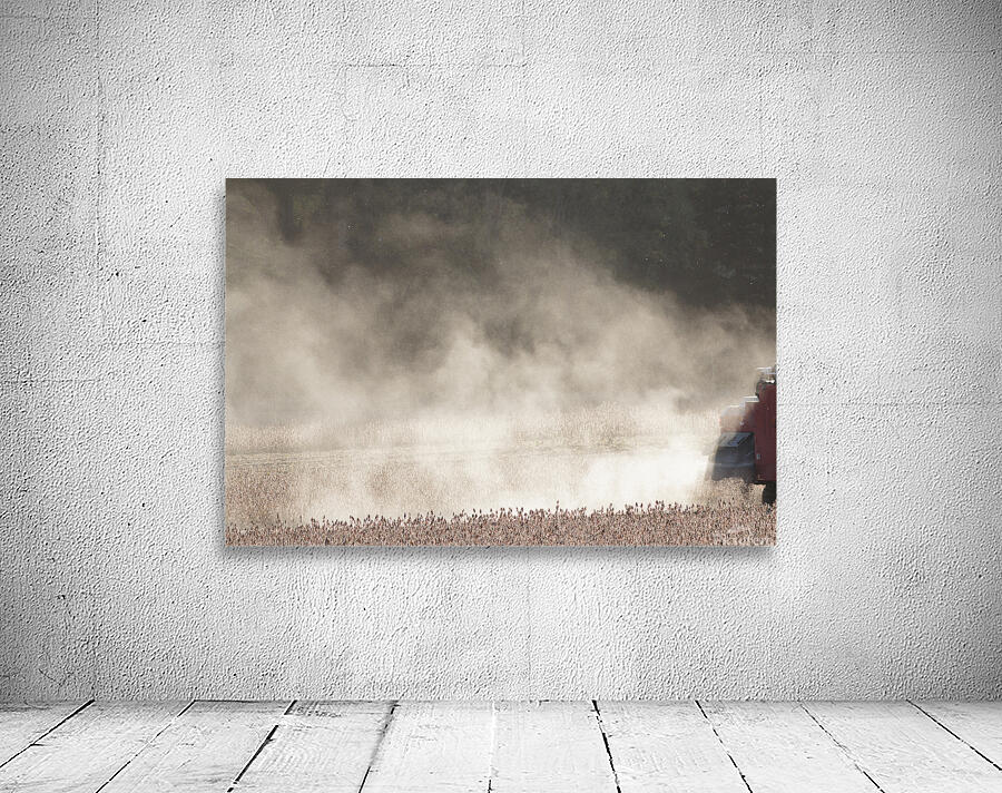 Bean Field Wall Preview