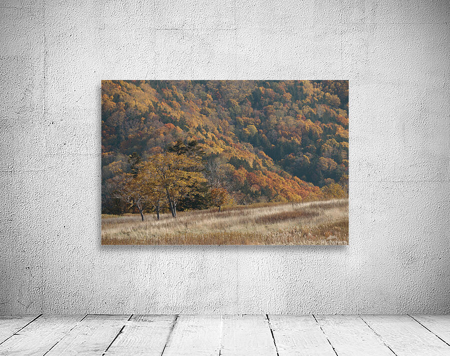 HIghland Wilderness Wall Preview