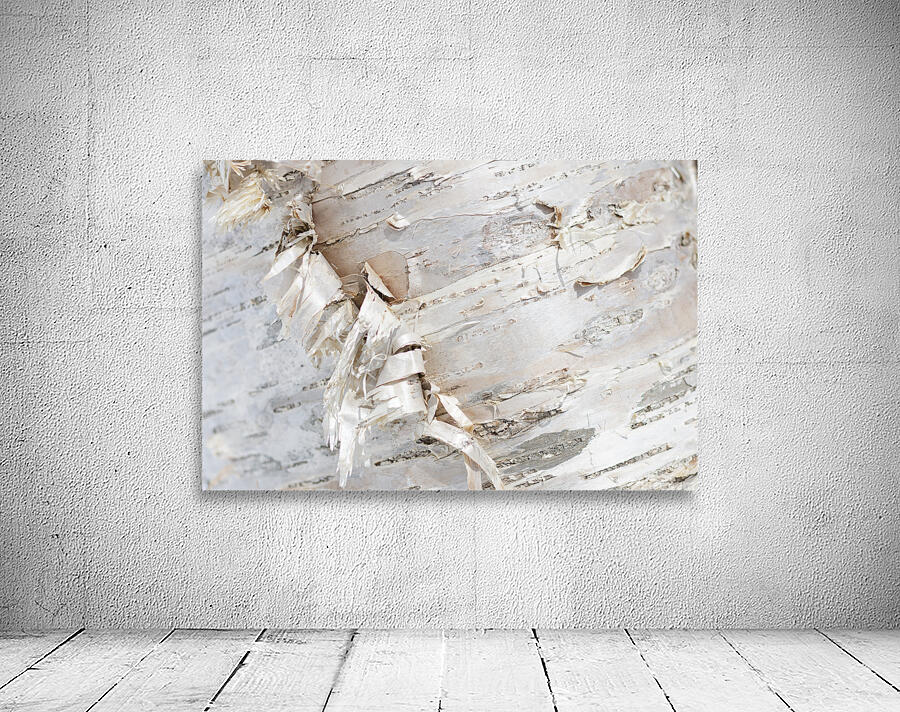 Birch Bark II Wall Preview