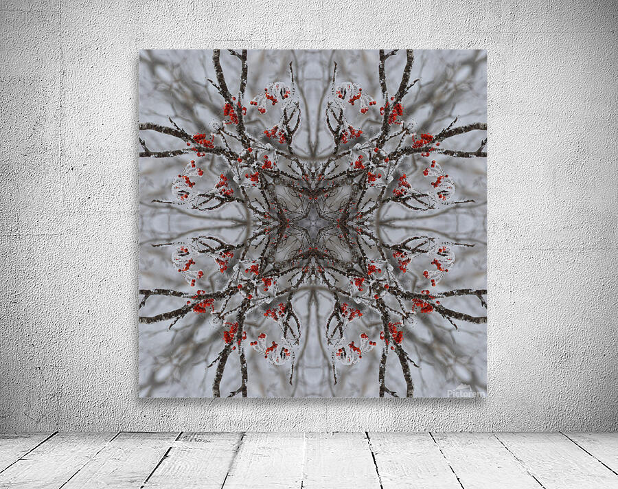 Red rowan tree berries Wall Preview