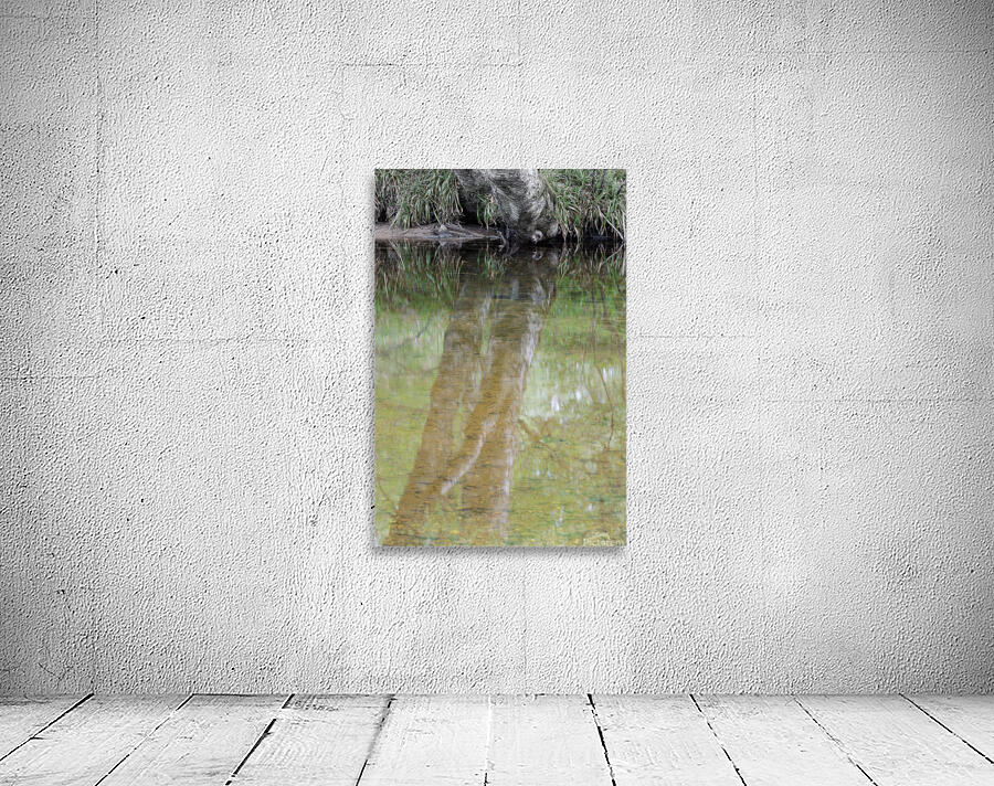 The River Wall Preview
